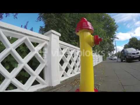 dogs-eye-view-peeing-on-fire-hydrant-pov-rejkyavik-iceland-4k-sf7rjg4n