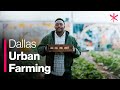 How Urban Farming Saved a Dallas Community