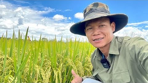 BÁC LINH PHILIP NÓI VỀ QUANG LINH VÀ SỐT SẮN NHỎ THUỐC CHĂM SÓC LÔI CON BỊ BỆNH NHƯ BỐ RUỘT CẢM ĐỘNG