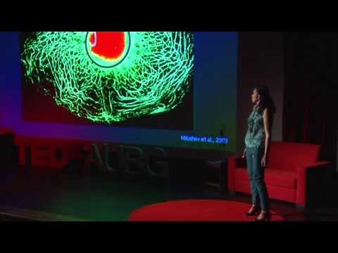 How genetics and environment work together to shape our destiny: Milena Georgieva at TEDxAUBG