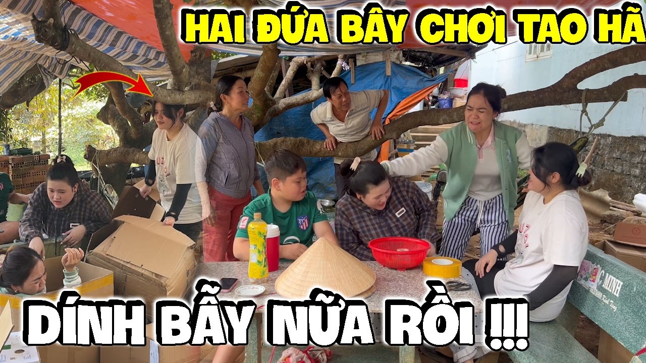 Hai Con Báo Tiếp Tục Dính Liên Hoàn Bẫy Của Dì Hương | Anh Ba Báo