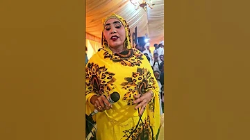 الفنانة نور الجلال حفلة الابيض 