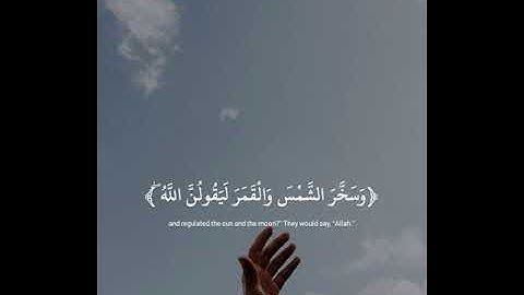 سورة النحل - الَّذِينَ صَبَرُوا وَعَلَىٰ رَبِّهِمْ يَتَوَكَّلُونَ