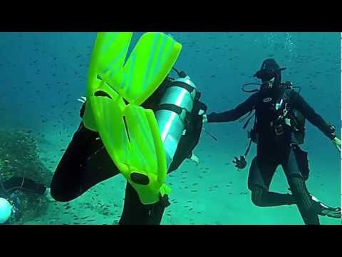 Видео: Водолазите съобщават зловещи звуци в дълбините на Червено море - Алтернативен изглед