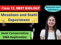 Meselson and Stahl Experiment | Class 12 Genetics | NEET Biology