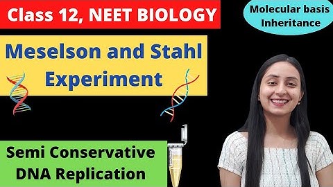 Meselson and Stahl Experiment | Class 12 Genetics | NEET Biology