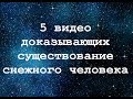 5 случаев наблюдения снежного человека! Самые обсуждаемые видео бигфута, йети и гоминида.