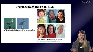 Шурупова Яна Андреевна - Теория эволюции - 6. Вид и видообразование