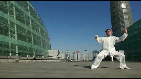 Chen Bin Chen Taiji Laojia Yilu (Old frame 1) comp...