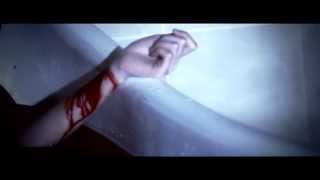 The Black Swan -「失い」Music Video