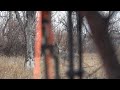 Buck Down! Hunting Whitetails From The Ground Pt 1