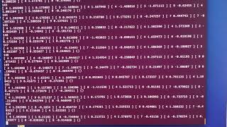 CS206: Genetic Algorithm