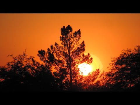 No im not a human theme (slowed)