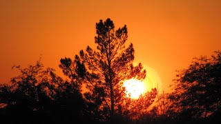 No Im Not A Human Theme (Slowed)