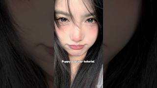 puppy eyeliner tutorial 🎀🖤#shorts #eyeliner #makeup #tutorial #eyes #kpop