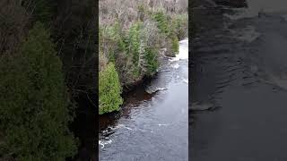 Unwind at the Hearthside Where the River Speaks Louder Than Silence