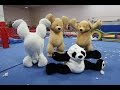 GYMNASTICS IN GIANT TEDDY BEARS!