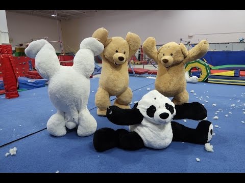 gymnastics-in-giant-teddy-bears!