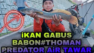 Mancing Di sungai #Spot pintu Air ikaN Nila!!Lele Dumbo auto Naik#!.