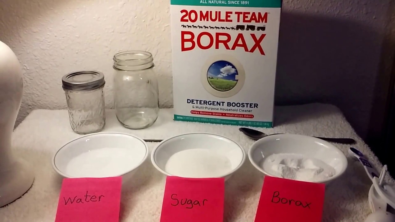 Borax and DIY Ant Trap (with