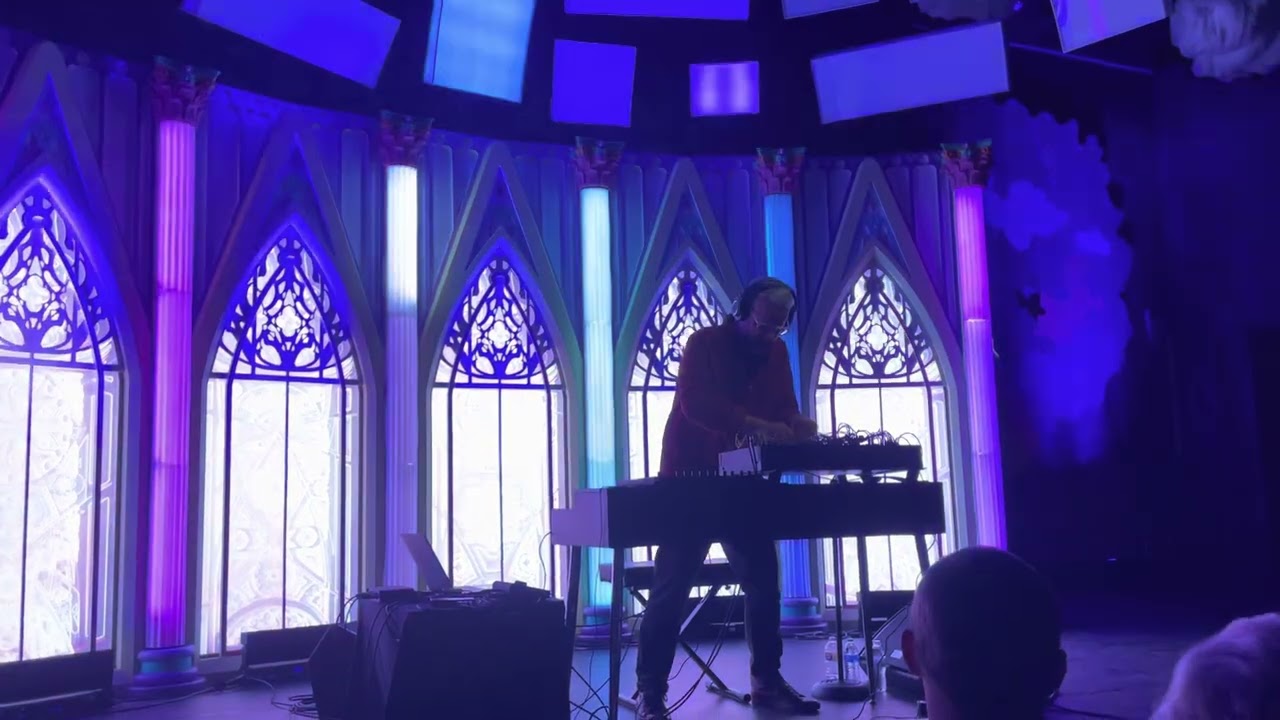 David Phipps Meow Wolf STS9 Tooth Beastie Boys Remix Denver Colorado 2022