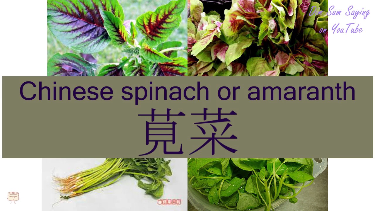 "CHINESE SPINACH OR AMARANTH" in Cantonese (莧菜) Flashcard YouTube