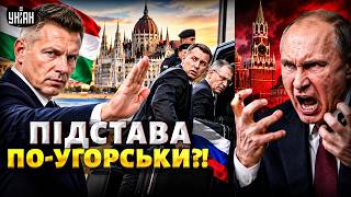 Угорський ЛЯПАС Путіну! Будапешт вишвирнув геть російських дипломатів. У Москві істерика