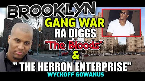 Brooklyn Gang War - Ra Diggs (The Herron Enterpris...