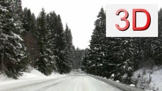 3D Film: Winter Forest Ride