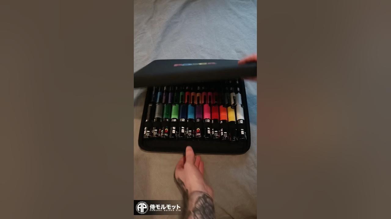 unboxing the Posca 60 Pen set with case #posca #poscamarkers #unboxing  #samuraiguineapig #artist 