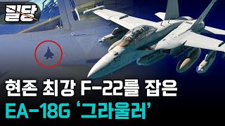 [밀당] 레이더를 무력화 시키고, 현존최강 F-22 랩터를 이긴 유일한 항공기 / EA/18G '그라울러'