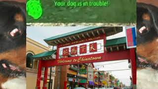 Jin Diss Love Me Long Time But Every Time It Says Wonton The Song Starts Playing Again