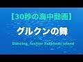 【30秒の海中動画】沖縄県 竹富島 No.1 グルクンの舞/ Dancing fusilier. Taketomi island【FULL HD】