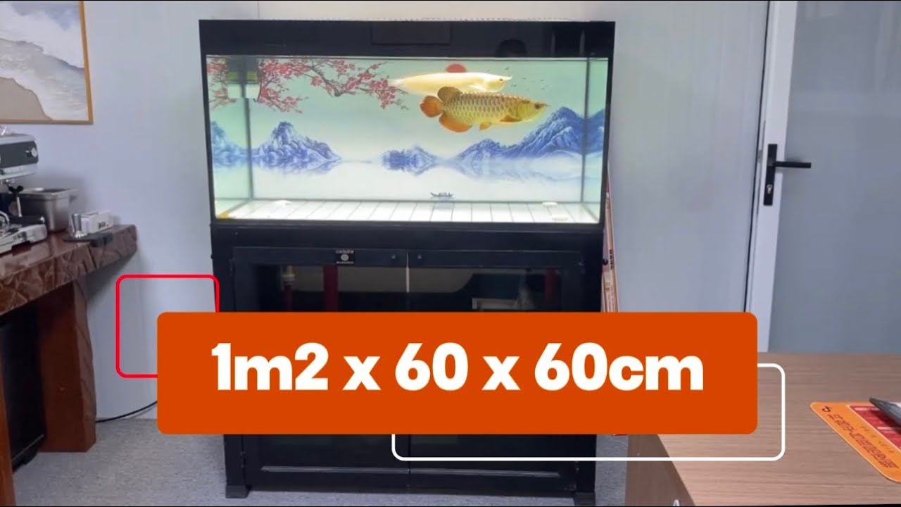 Lắp đặt BỘ HỒ 1m2 sử dụng PHAO CƠ và thả cá trong ngày luôn cho anh ...