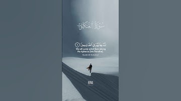 دع أصابعك تشهد لك وأكتب ماتؤجر عليه 💬 ‌‏‌‌‏ القارئ :#محمد_هشام #quran #islam #القران_الكريم
