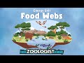 Understanding Food Webs and Energy Flow