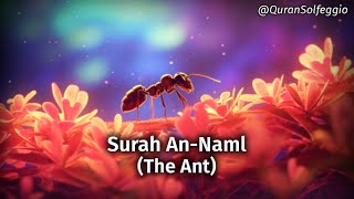 Surah An-Naml (The Ant) | Calm & Relaxing Quran Recitation [528HZ]