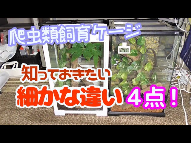比較】グラテラ3045とパンテオン3045の知っておきたい細かな違い4選
