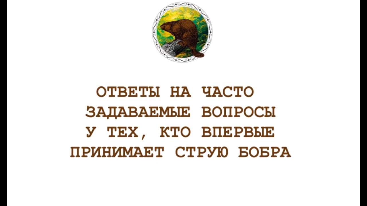 Ответы на вопросы для тех, кто впервые принимает бобровую струю - YouTube