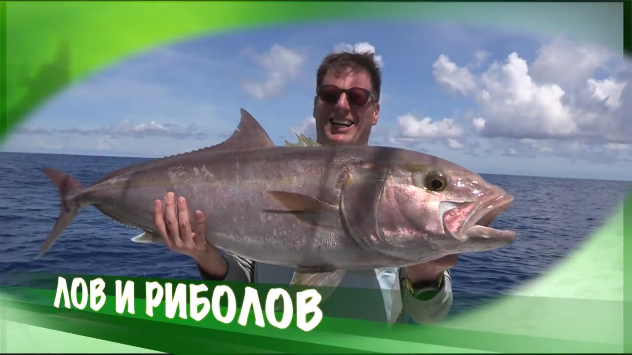 Apatin | 2024 | LOV I RIBOLOV