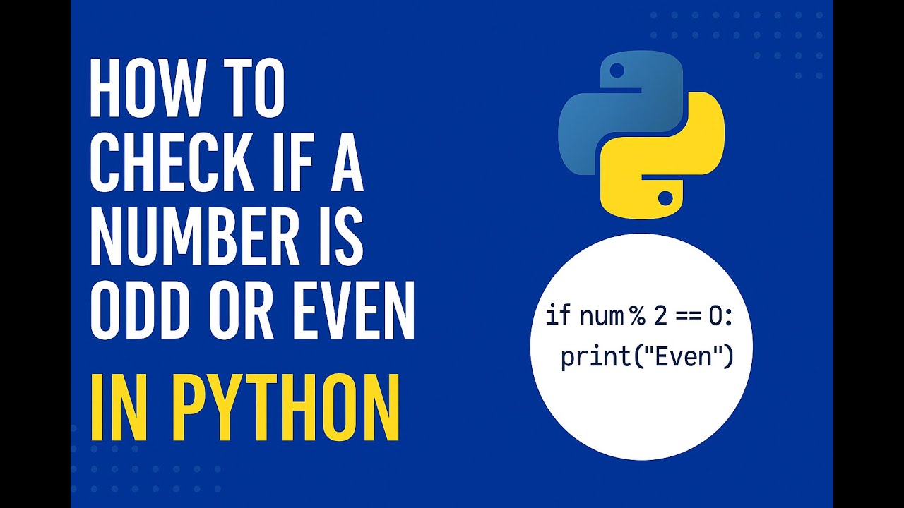Python Basics: Odd–Even Number Checker Tutorial - YouTube