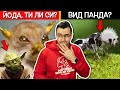 ТОП 10 ЖИВОТНИ, които се РАДВАМЕ, че НЕ ВИЖДАМЕ всеки ден 😱