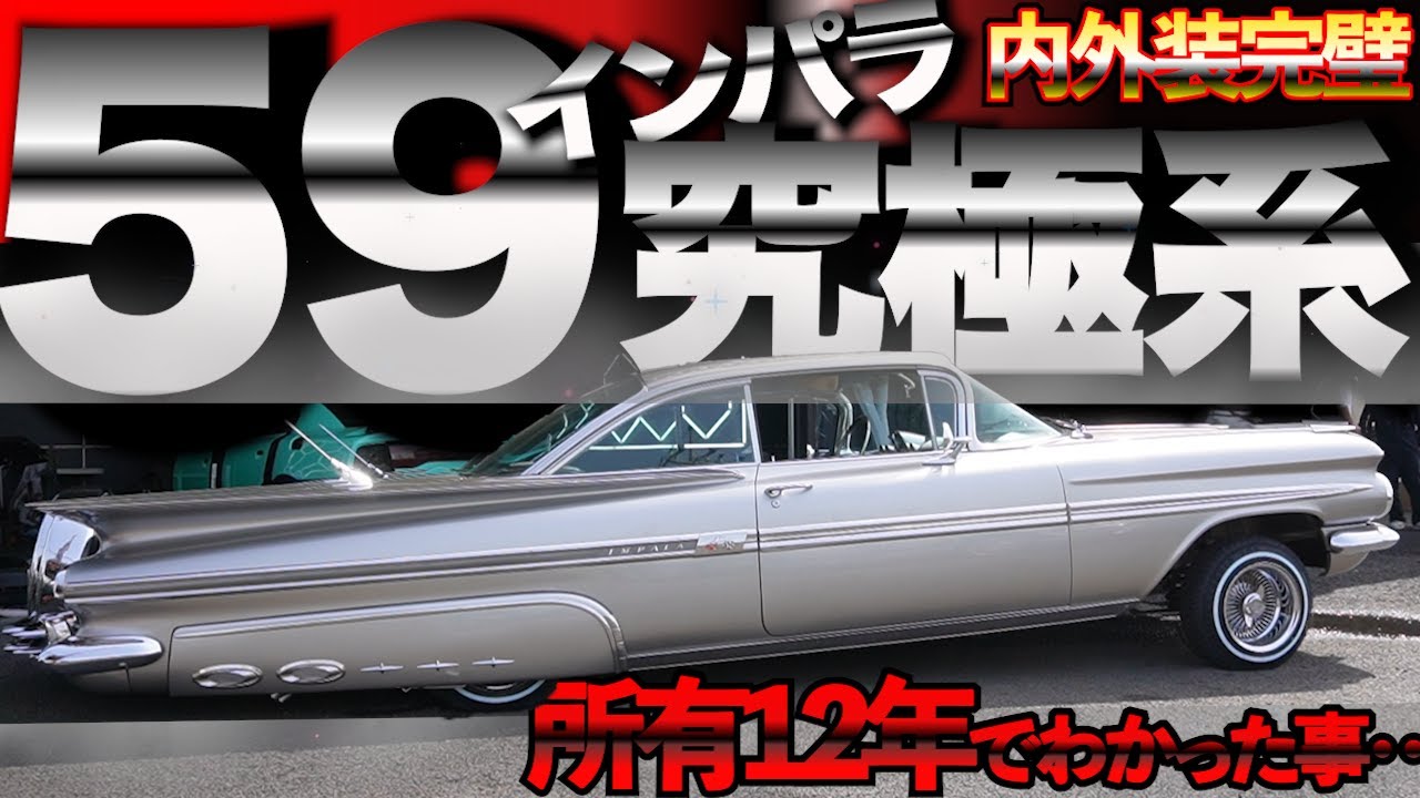 Kobe❣️インパラ❣️ Impala]: 