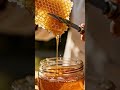 squishy honey asmr #asmr #asmr #animation #eating #satisfying #relaxing #eatingsounds