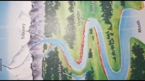 Unisa BPT 1501 ASSIGNMENT VIDEO