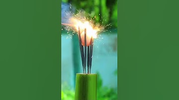 Cracker vs egg experiment #m4tech #experiment #shorts