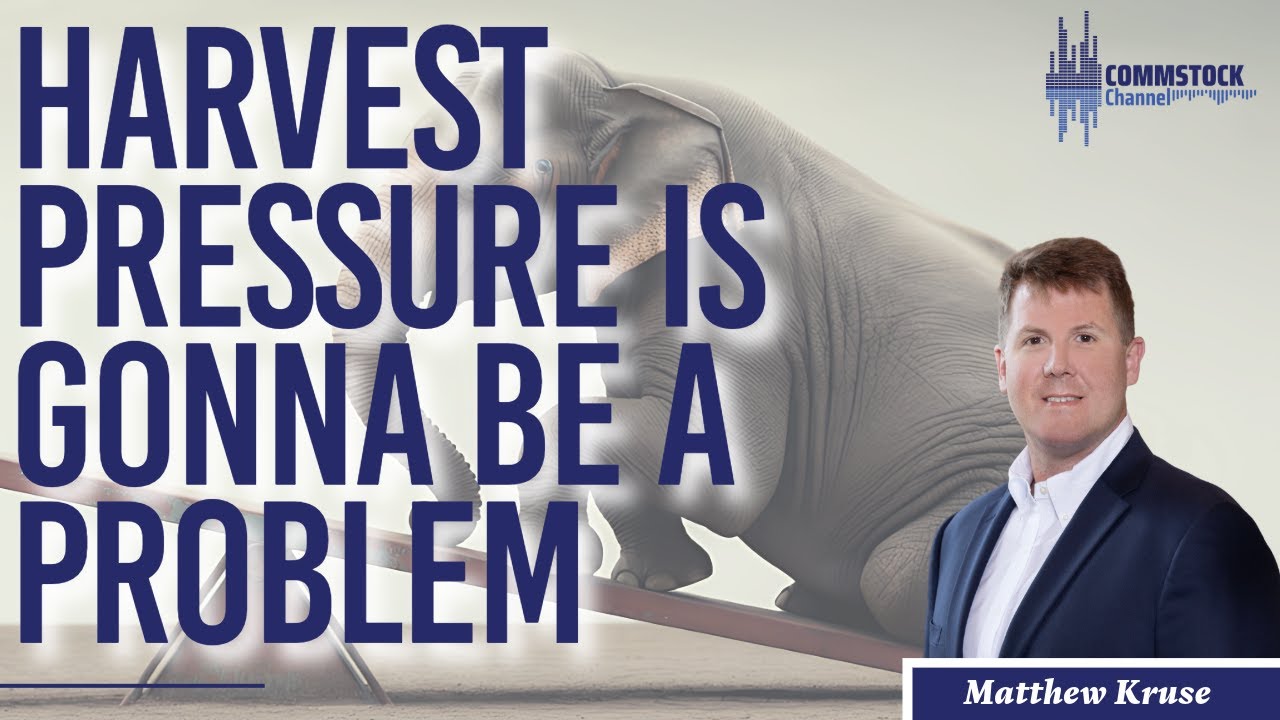 Harvest Pressure Is Gonna Be A Problem With Matthew Kruse - YouTube