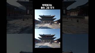 [다른그림찾기/두뇌운동/치매예방] 아마 못 찾을걸? Find the Difference_14 #틀린그림찾기 #치매예방 #집중력게임 #findthedifference #두뇌운동