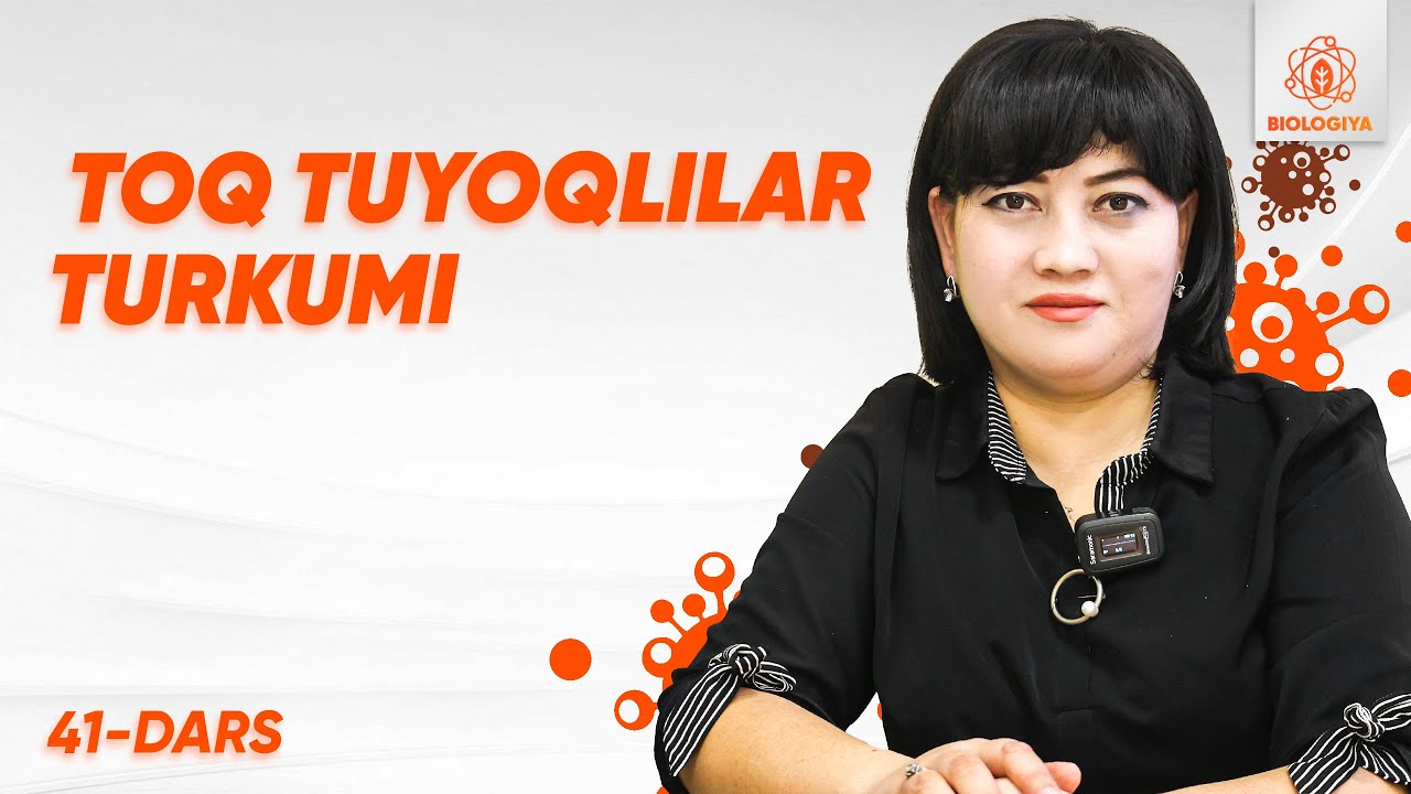 41 - dars | Toq tuyoqlilar turkumi | Onlayn biologiya