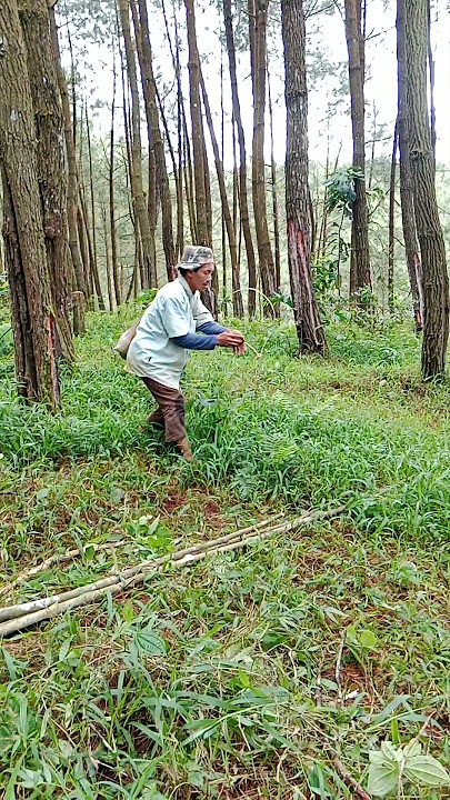 n4ngk4p M4hkluk an3h